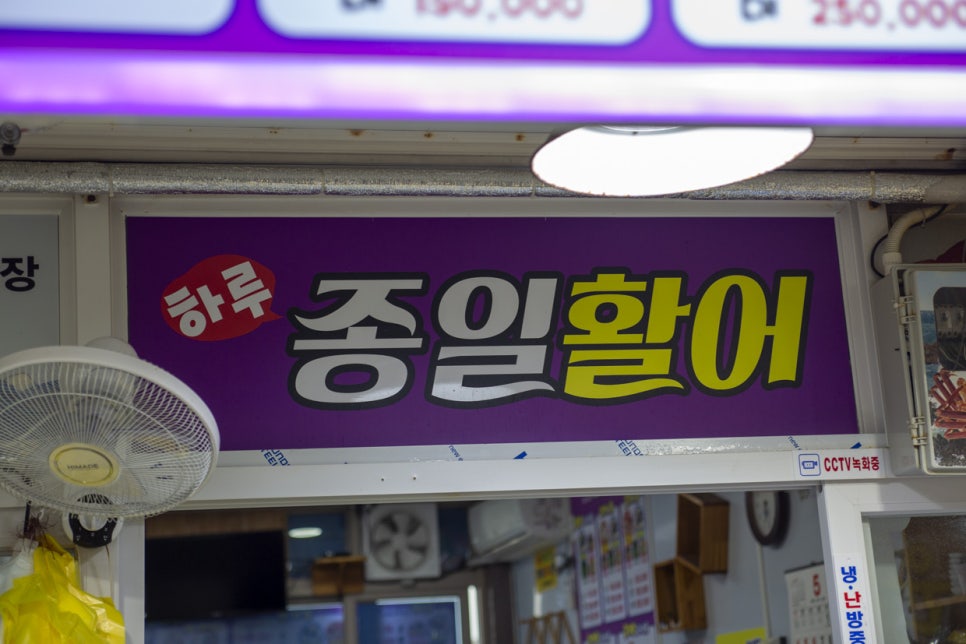 종일활어 이미지