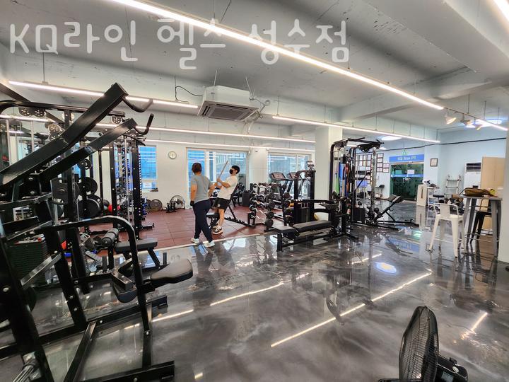 라인헬스 이미지