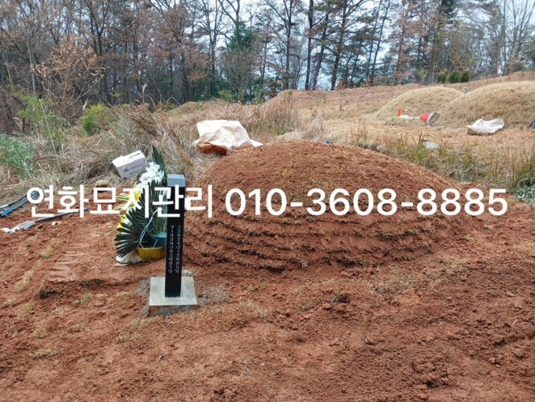 나주산소 이미지