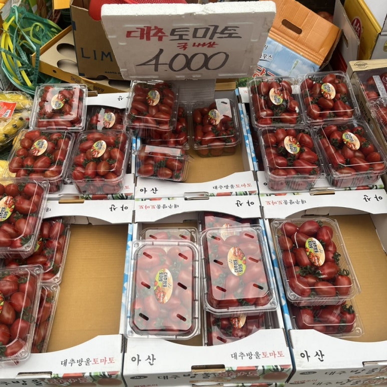 청춘청과 이미지