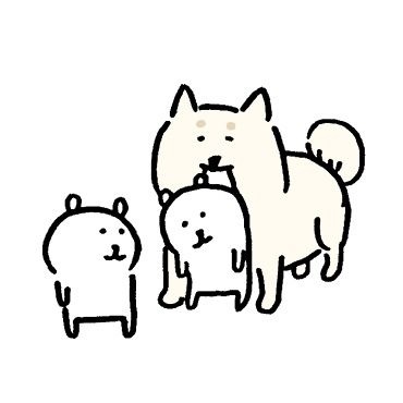 속초오징어어시장 이미지