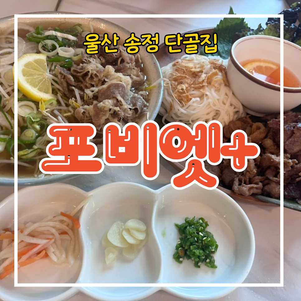 포비엣 이미지