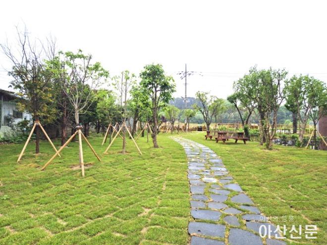 도고초등학교 이미지