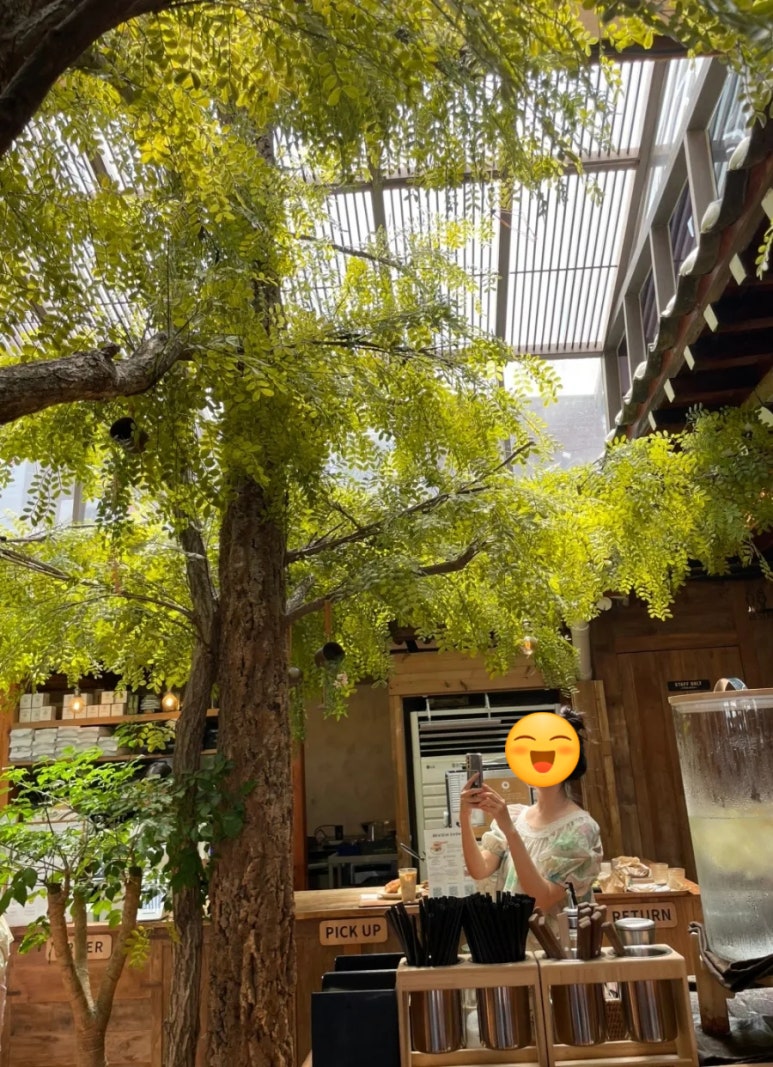 온지심 이미지