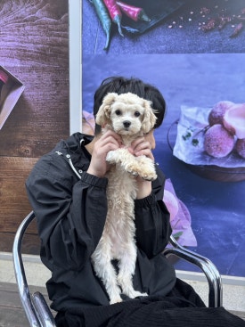 자담치킨 분평점 이미지