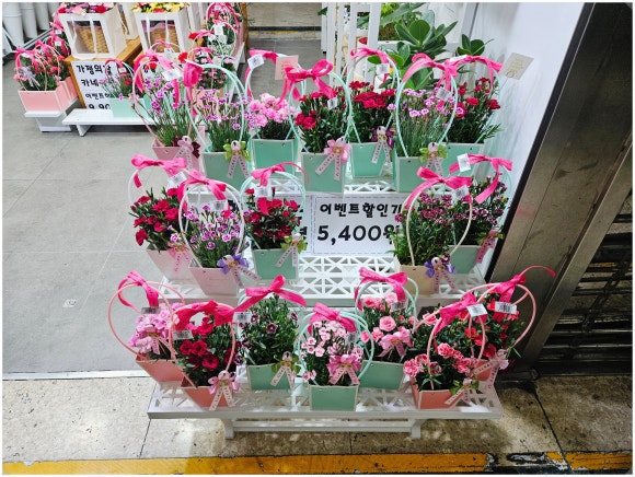 도우미꽃식물원 이미지