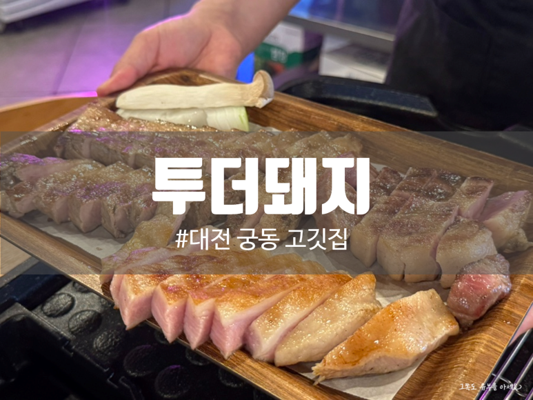 투더돼지 이미지