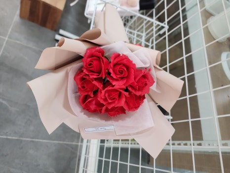 꽃블리 이미지