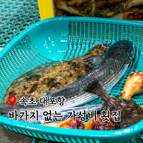 종일활어 이미지