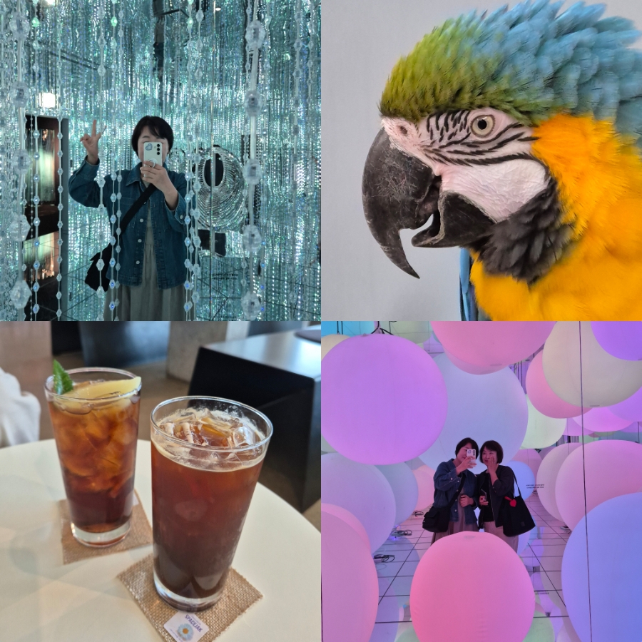 뽕뽑기 이미지