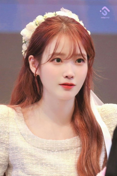 설하헤어 이미지