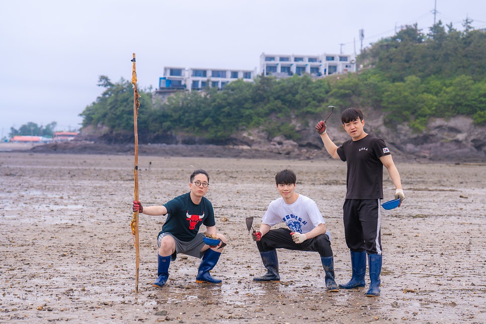 시고르청춘 이미지