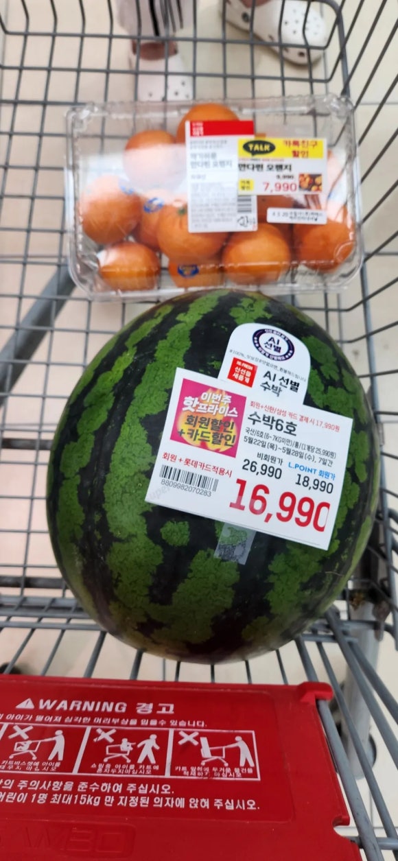 롯데슈퍼두정2점 이미지