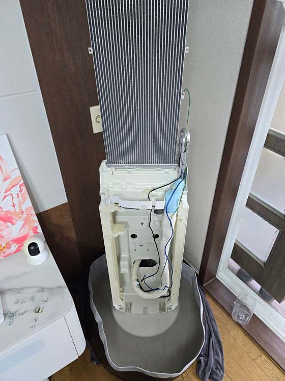 제주블루케어 이미지