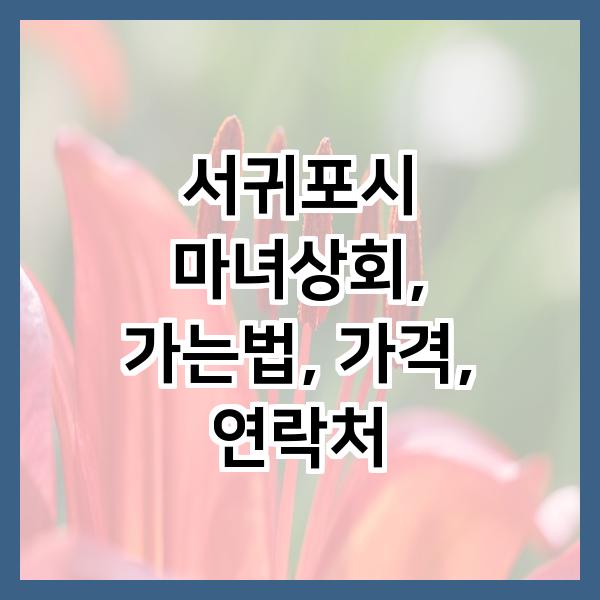 무릉상회 이미지