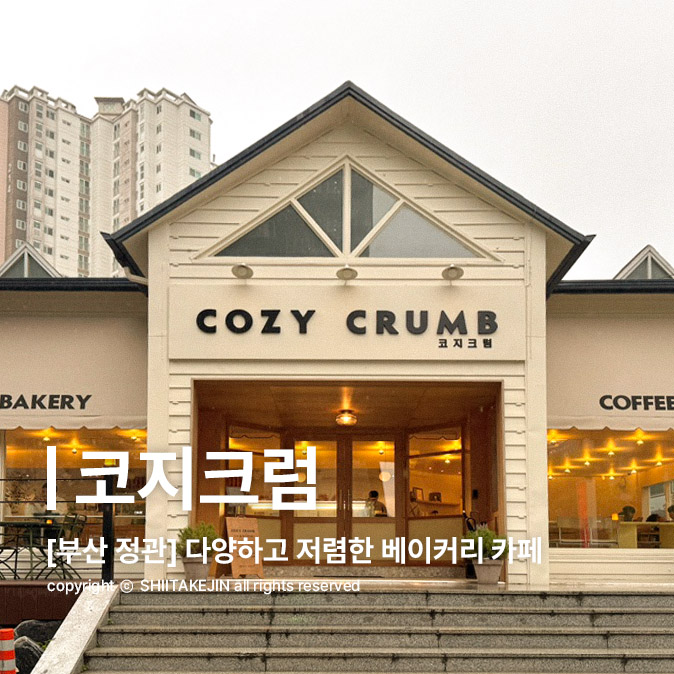 코지크럼 이미지