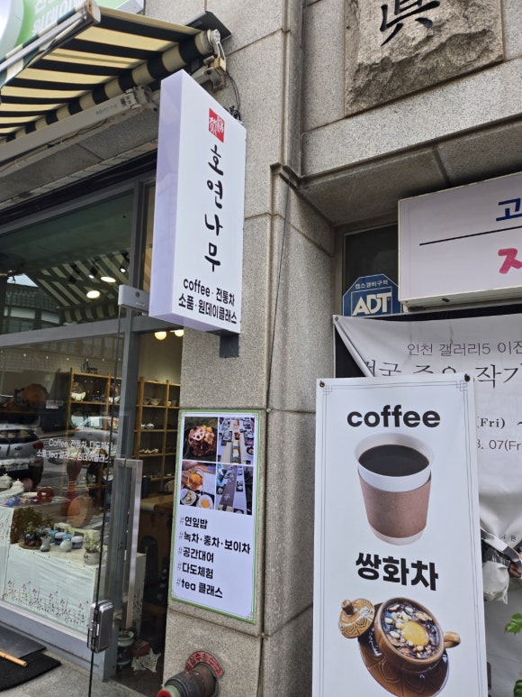 호연나무 이미지