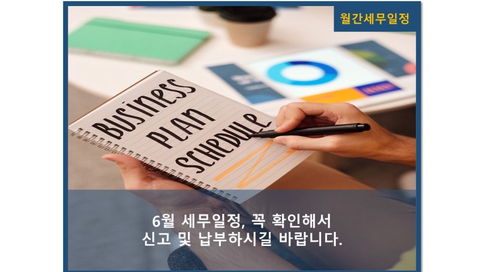 세아회계법인 이미지