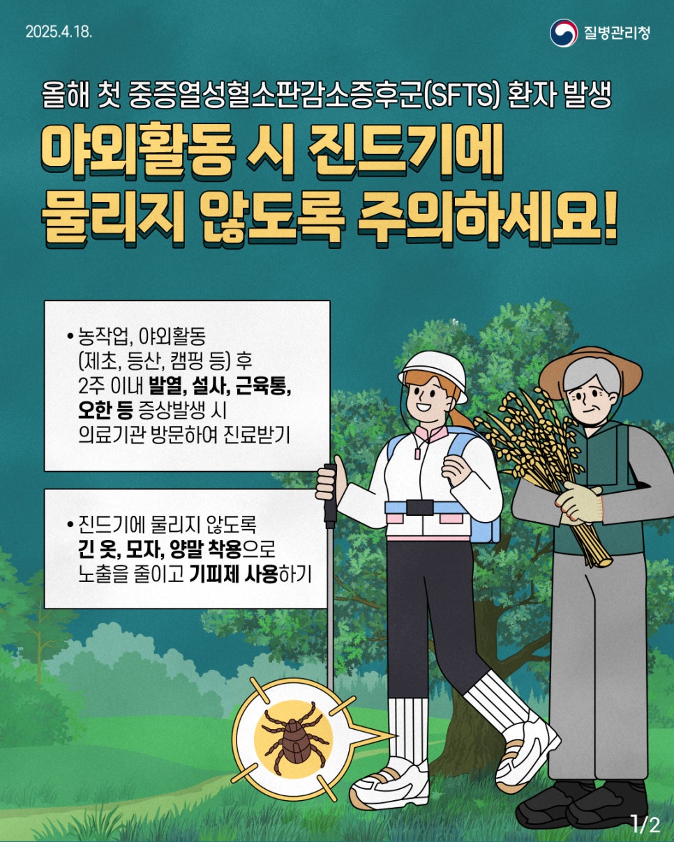 다감 이미지