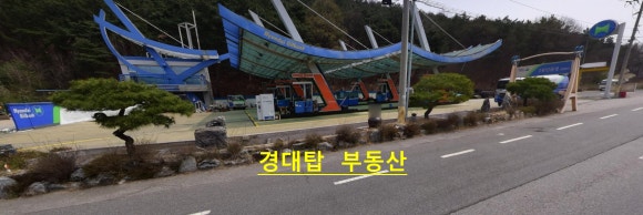 왜관공단주유소 이미지