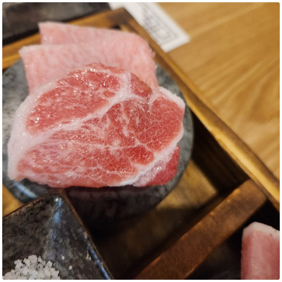 혼참치 이미지