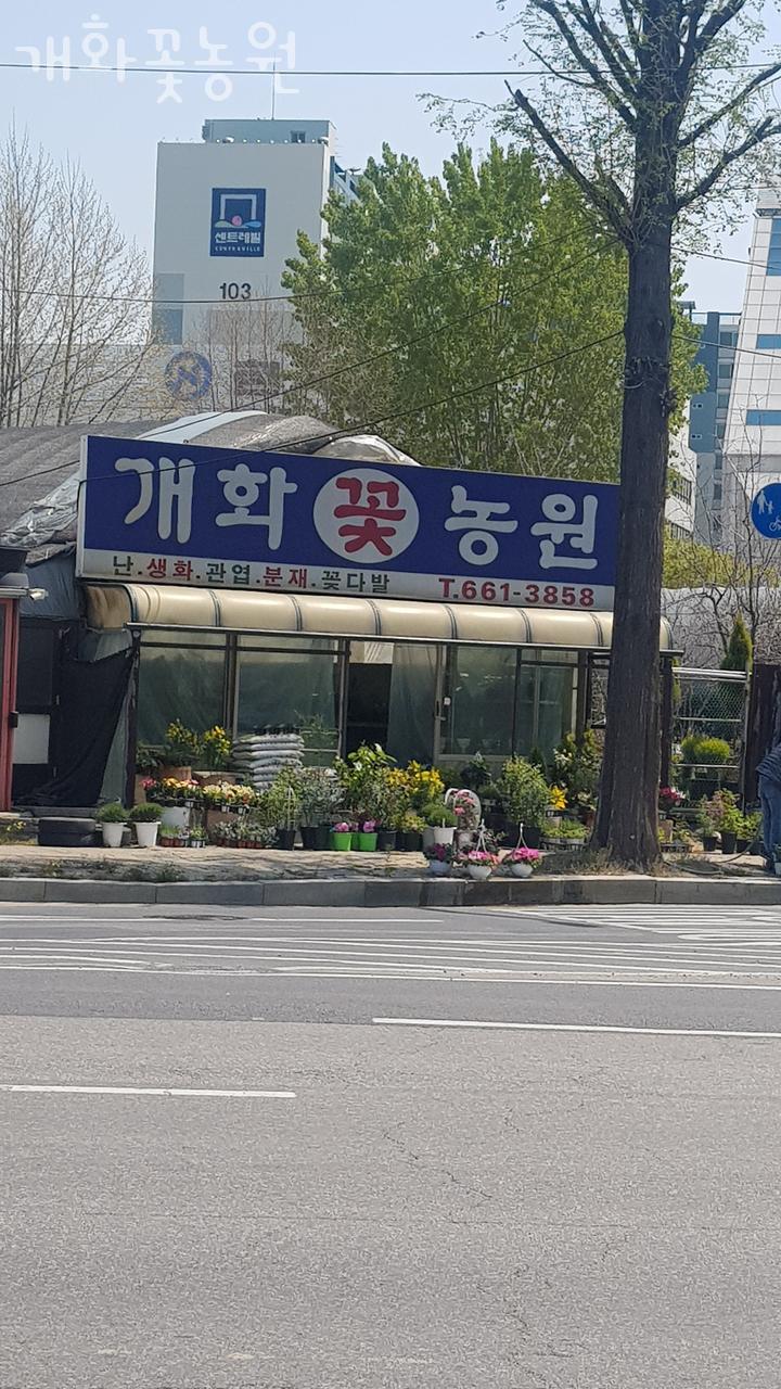 강서꽃농원 이미지