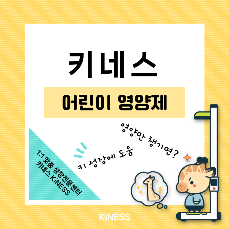 키네코어 이미지