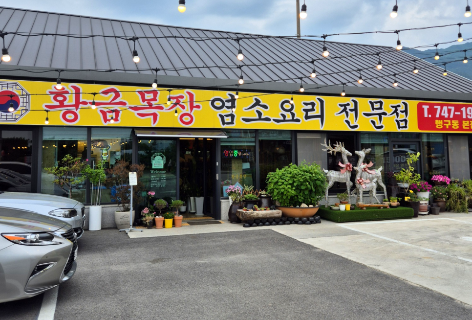 황금목장염소요리 이미지