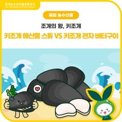 조개의 왕, 키조개 [키조개 해산물 스튜 VS 키조개 관자 버터구이] 여러분의 선택은... 바로가기