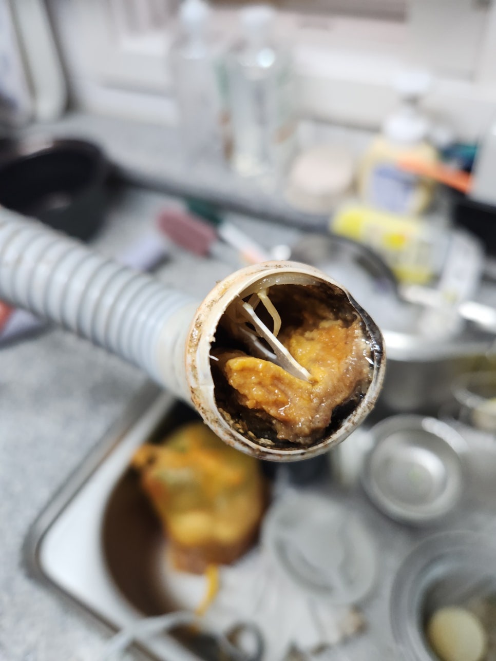 푸른종합환경 이미지