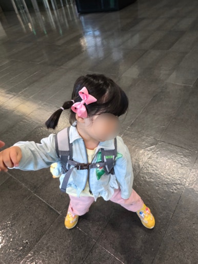 보니토J 이미지