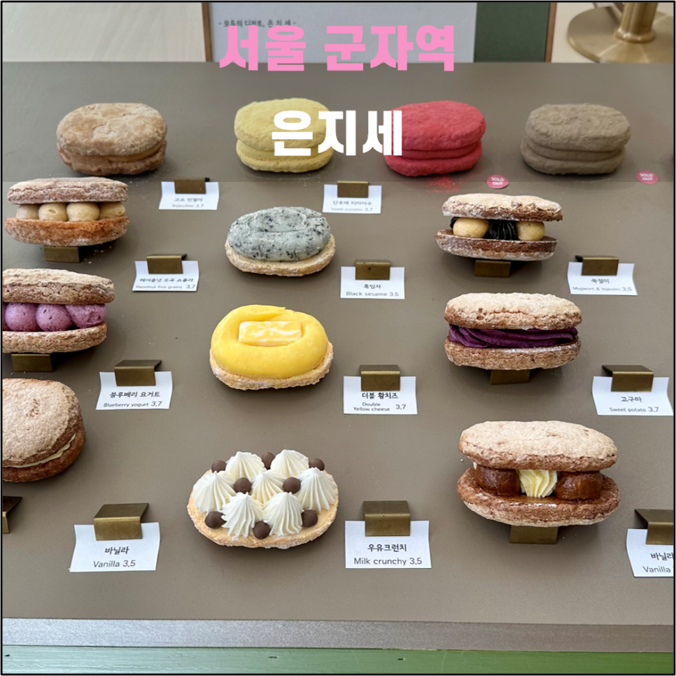 은지세 이미지