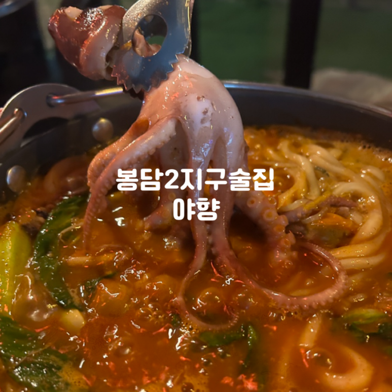 야향 이미지