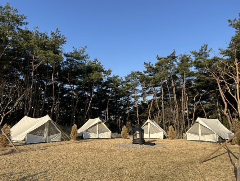 살롱데몬타냐 이미지