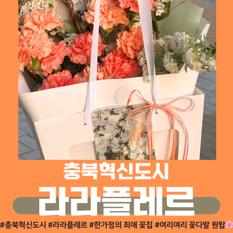 라라플레르 이미지