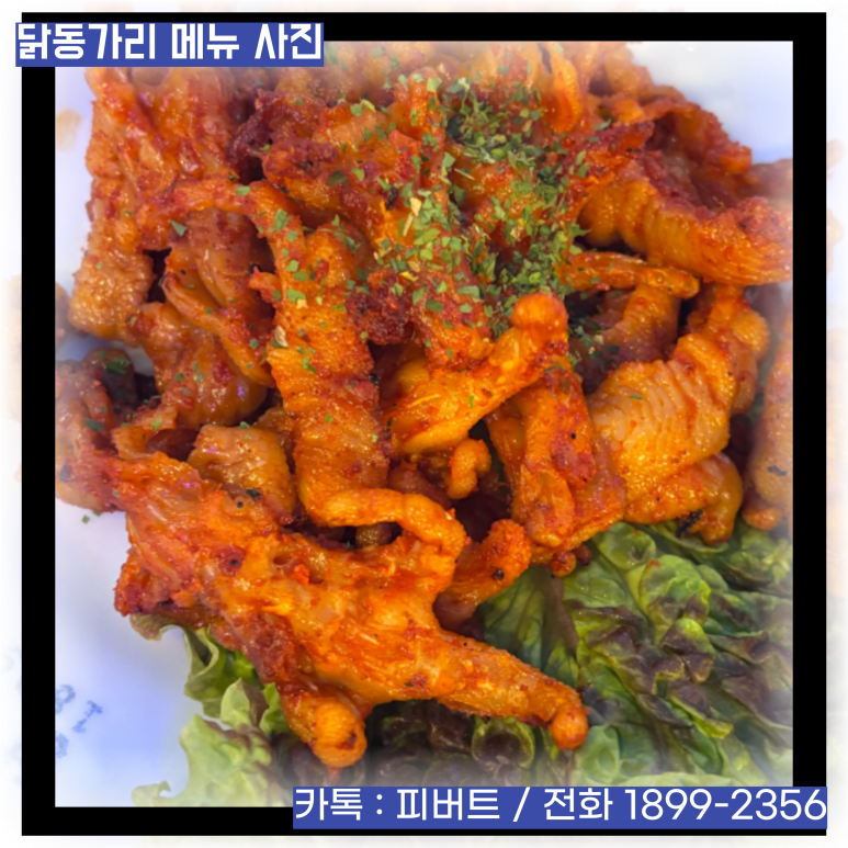 피버트 이미지