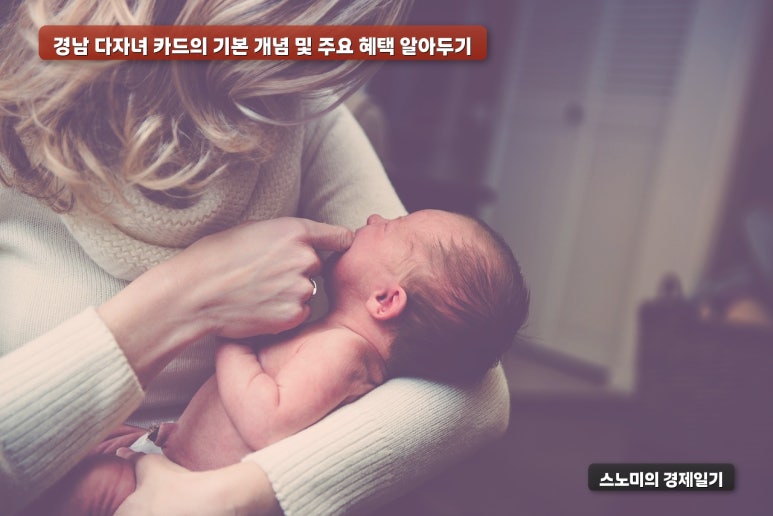 다이소경남 이미지