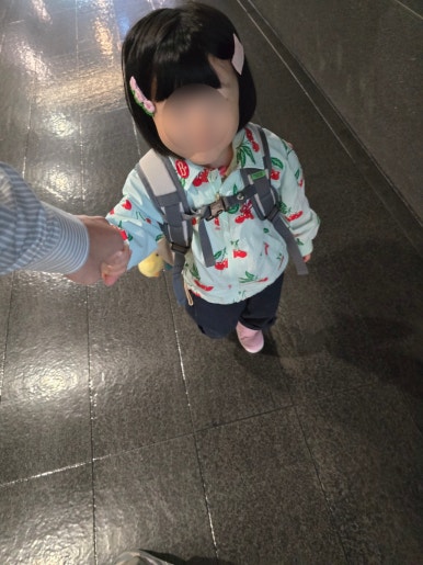 보니토J 이미지