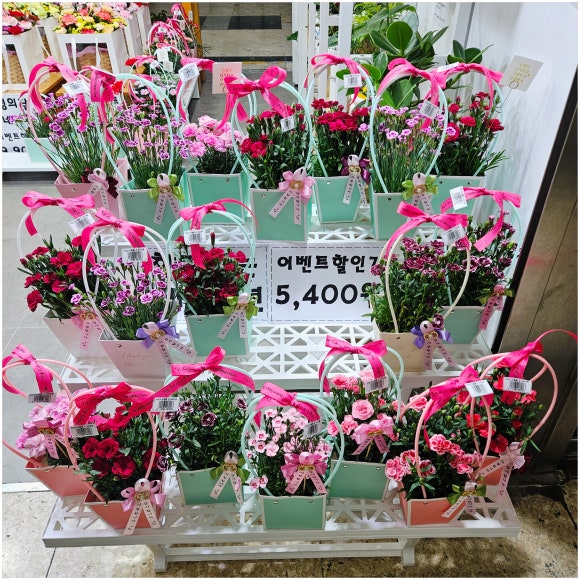 도우미꽃식물원 이미지