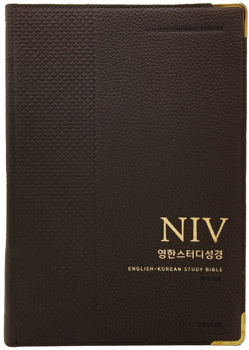 브라운 스터디 이미지