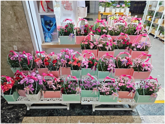 도우미꽃식물원 이미지