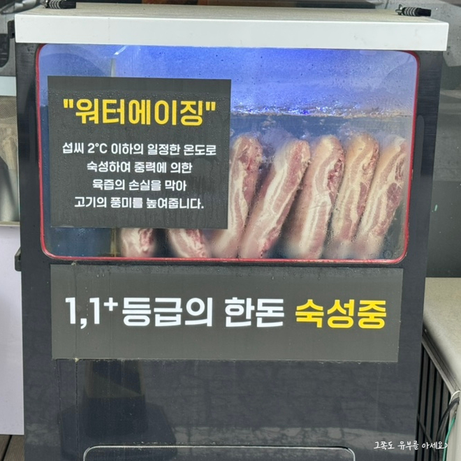 투더돼지 이미지
