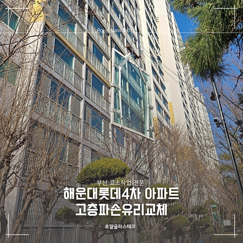 국제샷시;유리 이미지