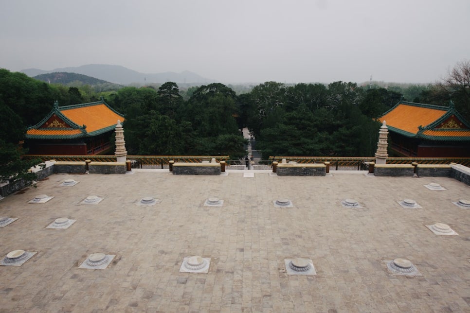 영덕특산물 이미지