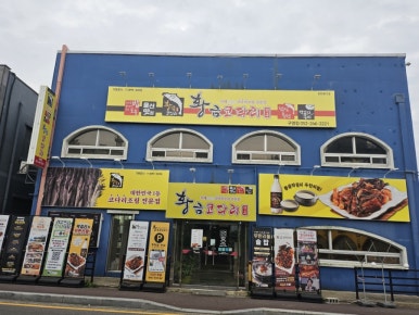 황금코다리 구영점 이미지