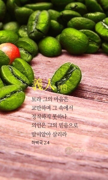 아우투스 이미지