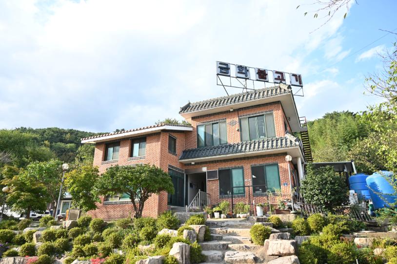 금화상사 이미지