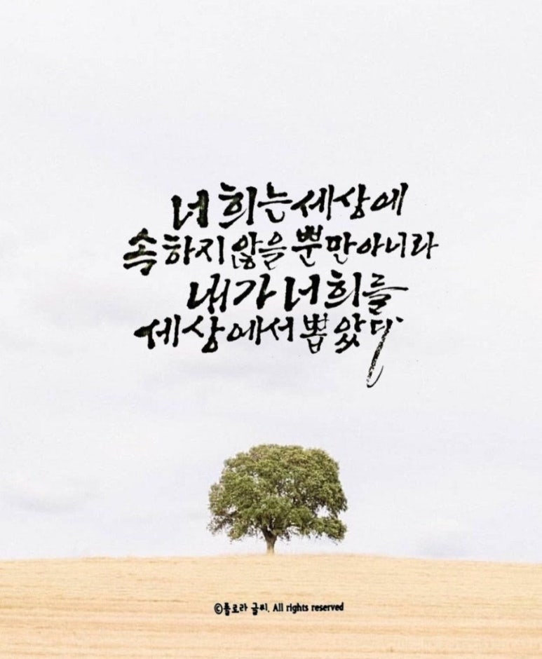 사랑으로 이미지