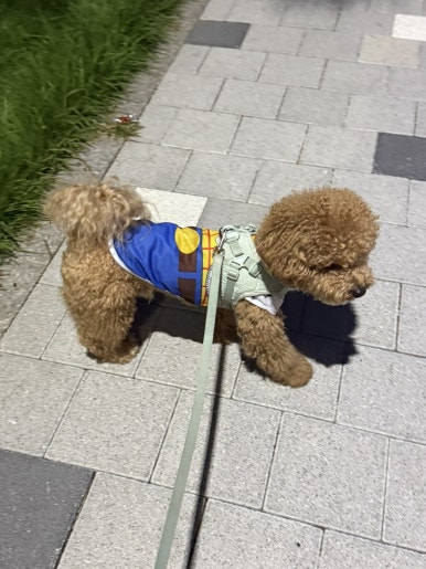 오복의류 이미지