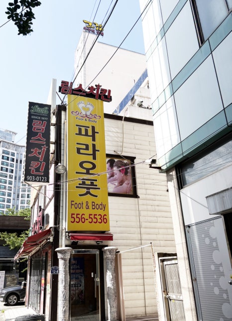 파라오풋 이미지